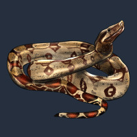 Red Tail Boa Snake Zipper Hoodie | Teevron