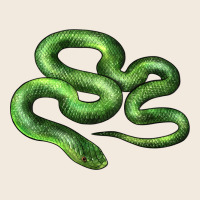 Boomslang Snake Zipper Hoodie | Teevron