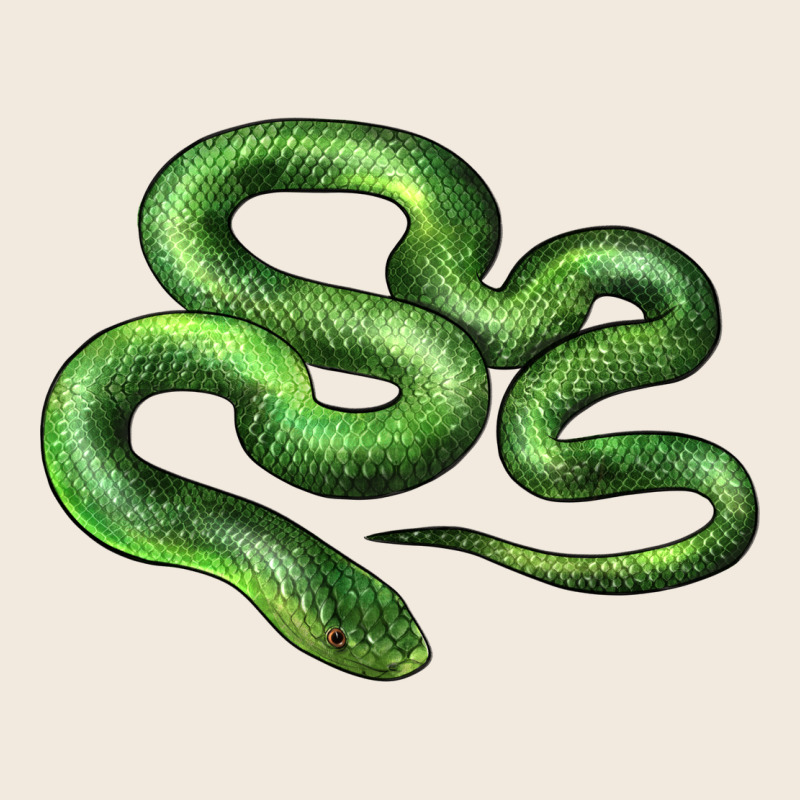Boomslang Snake Zipper Hoodie by LillyAllenDesigns | Teevron