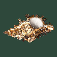 Murex Snail Zipper Hoodie | Teevron