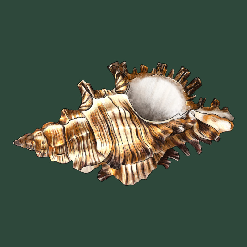 Murex Snail Zipper Hoodie by LillyAllenDesigns | Teevron
