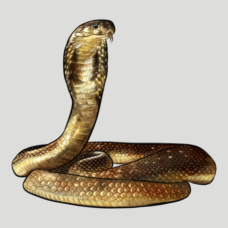 King Cobra Snake Zipper Hoodie by LillyAllenDesigns | Teevron