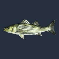 Striped Bass Zipper Hoodie | Teevron