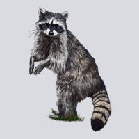 Raccoon Illustrations Zipper Hoodie | Teevron