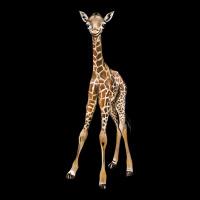 Baby Giraffe Zipper Hoodie | Teevron