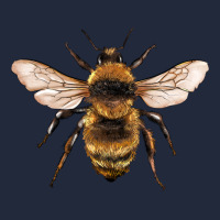 Bee Premium Sweatshirt | Teevron