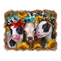 western sunflower heifers | Teevron
