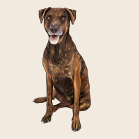 Plott Hound Zipper Hoodie | Teevron
