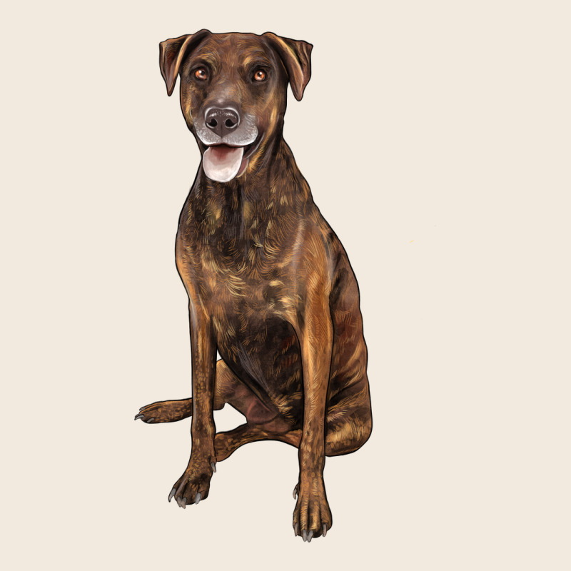 Plott Hound Zipper Hoodie by LillyAllenDesigns | Teevron