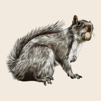 Gray Squirrel Zipper Hoodie | Teevron