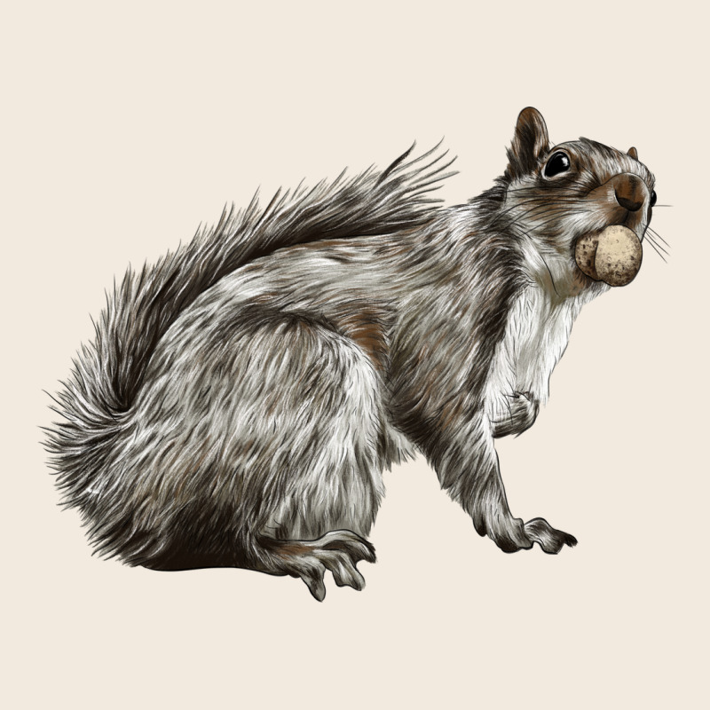 Gray Squirrel Zipper Hoodie by LillyAllenDesigns | Teevron