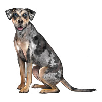 catahoula leopard dog | Teevron