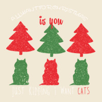 All Want For Christmas Is You Just Kidding I Want Cats Ladies Tee | Teevron