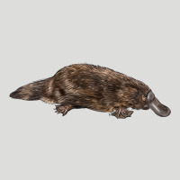 Platypus Zipper Hoodie | Teevron