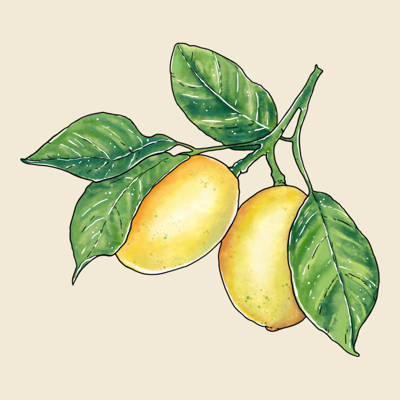 Lemons Premium Hoodie by BundleAndBundleShop | Teevron