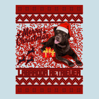 Merry Christmas Labrador Retriever Ladies Tee | Teevron