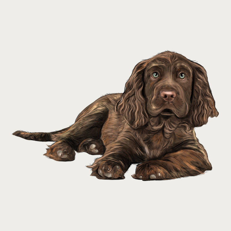 Sussex Spaniels Llustrations Zipper Hoodie by LillyAllenDesigns | Teevron