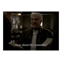 Phil Leotardo How About This Humidity | Teevron