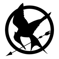 hunger games spiral movie | Teevron