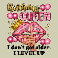 Birthday Queen I Dont Get Older I Level Up Heavy Core Tee | Teevron