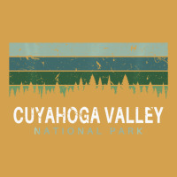 Cuyahoga Valley National Park Ohio Gifts Oh Urban Hoodie | Teevron