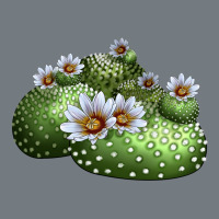 Blossfeldia Cactus Heavyweight Sweatshirt | Teevron