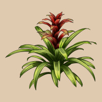 Bromeliads Heavyweight Sweatshirt | Teevron