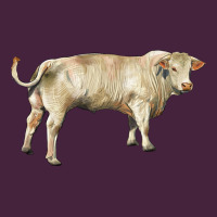 Charolais Bull Long Sleeve Tee | Teevron