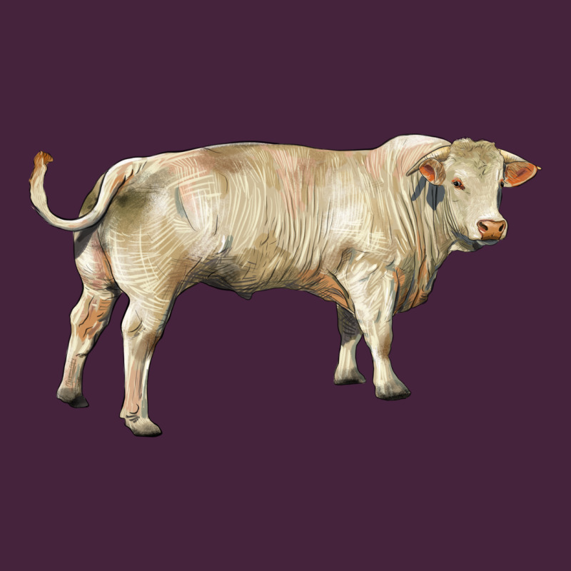 Charolais Bull Long Sleeve Tee by RanaPortraitStore | Teevron