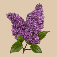 Purple Lilac Flower Heavyweight Sweatshirt | Teevron