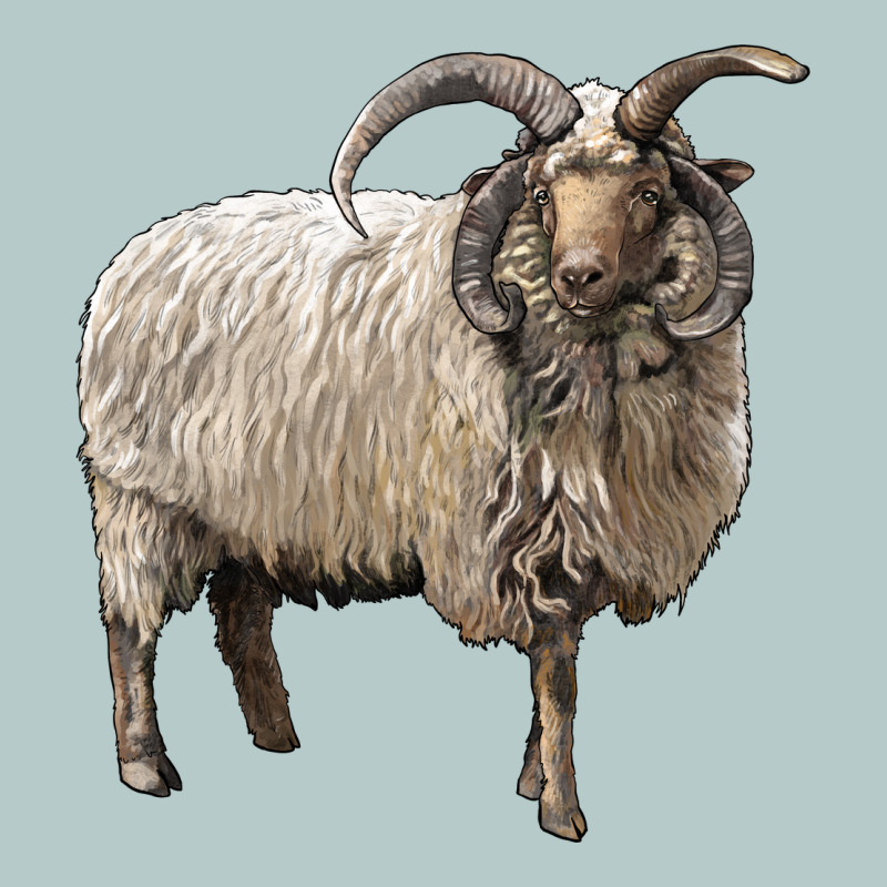 Navajo Churro Sheep Heavy Core Tee by LillyAllenDesigns | Teevron
