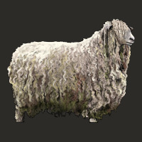 Lincoln Sheep Heavy Core Tee | Teevron