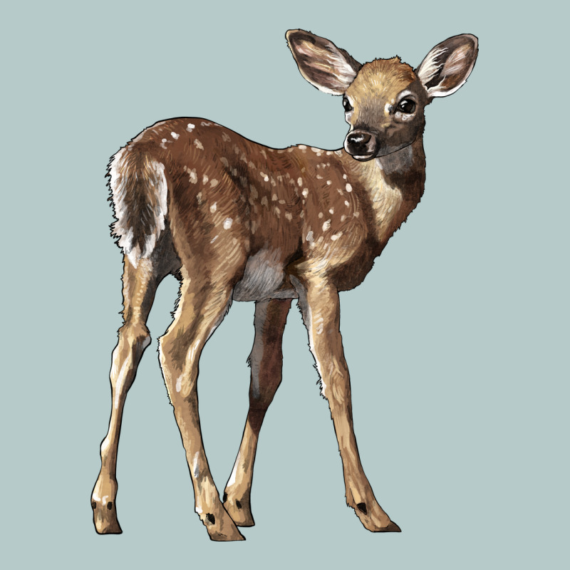 White Tailed Fawn Deer Heavy Core Tee by LillyAllenDesigns | Teevron