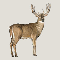 White Tailed Buck Deer Heavy Core Tee | Teevron