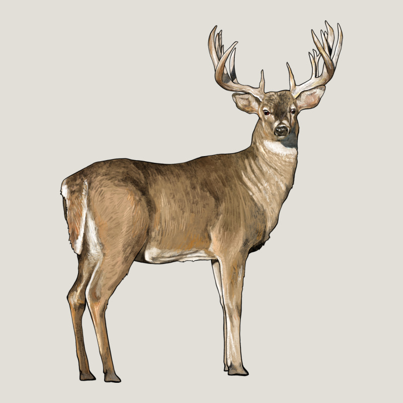 White Tailed Buck Deer Heavy Core Tee by LillyAllenDesigns | Teevron