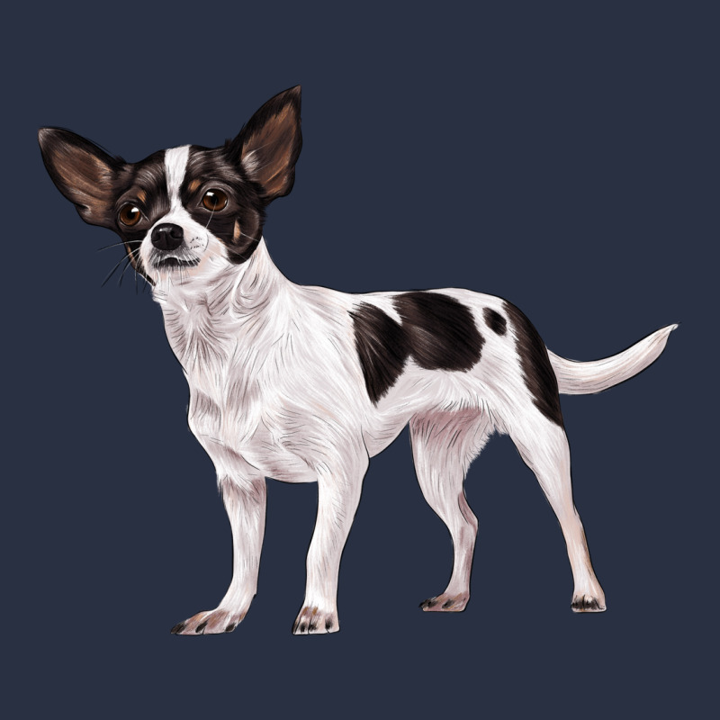 Chihuahua Heavyweight Sweatshirt by LillyAllenDesigns | Teevron