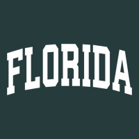 Florida Crewneck Sweatshirt Sports College Style State Gifts Premium Hoodie | Teevron