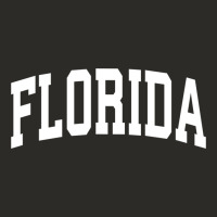 Florida Crewneck Sweatshirt Sports College Style State Gifts Heavy Core Tee | Teevron