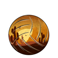 Desert Cactus Sunset Volleyball | Teevron