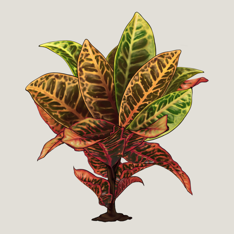 Croton Heavy Core Tee by LillyAllenDesigns | Teevron