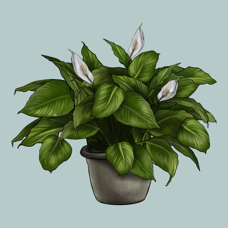 Peace Lily Heavy Core Tee by LillyAllenDesigns | Teevron