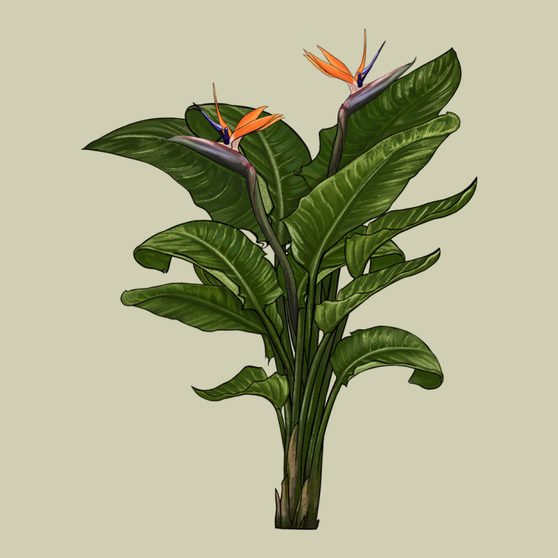 The Bird Of Paradise Heavy Core Tee by LillyAllenDesigns | Teevron