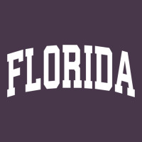 Florida Crewneck Sweatshirt Sports College Style State Gifts Heavyweight Hoodie | Teevron