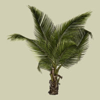Palm Tree Heavy Core Tee | Teevron