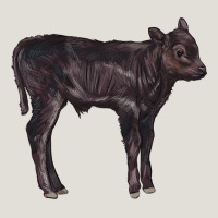 Black Angus Calf Illustrations Heavy Core Tee | Teevron