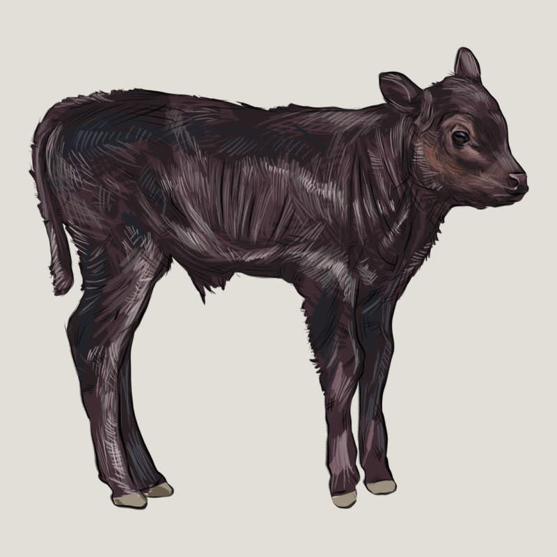 Black Angus Calf Illustrations Heavy Core Tee by LillyAllenDesigns | Teevron