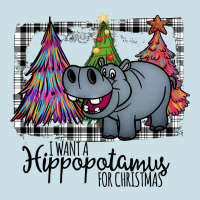 I Want Hippopotamus For Christmas Ladies Tee | Teevron