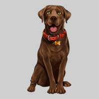 Chocolate Lab Labrador Retriever Premium Sweatshirt | Teevron