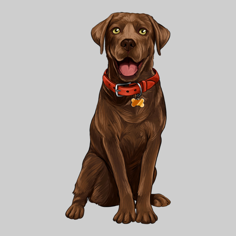 Chocolate Lab Labrador Retriever Premium Sweatshirt by Artiststas | Teevron