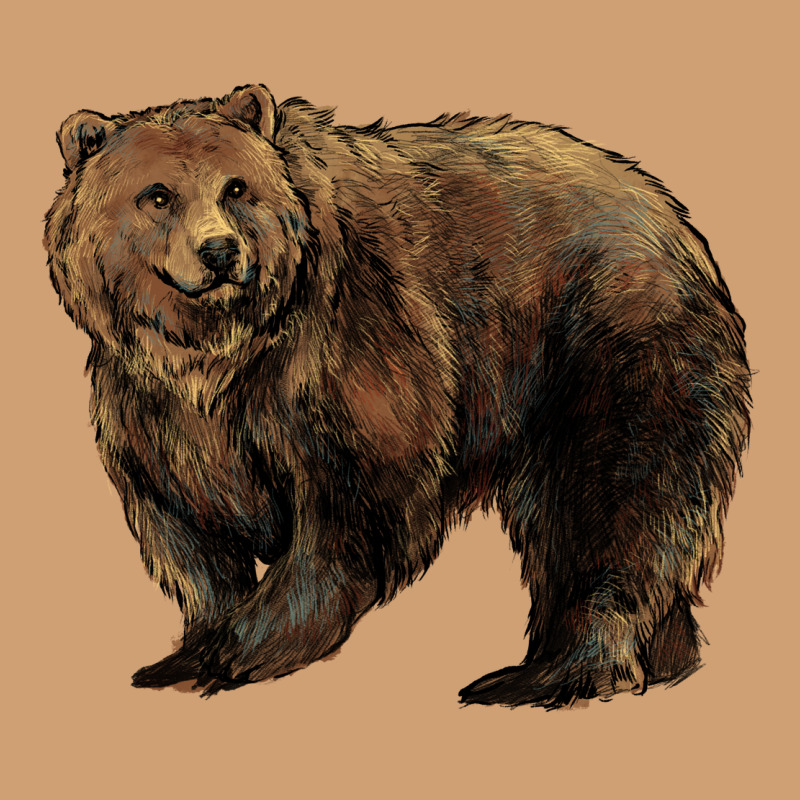 Grizzly Bear Vintage Tee by HowdyJamesFarm | Teevron